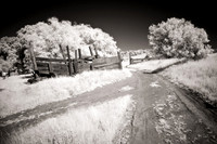 Trail - Infrared
