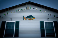 Maggie's Fish Market