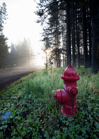 Fire Hydrant