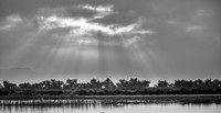 SJWA - San Jacinto Wildlife Area