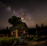 Holcomb Valley Cabin
