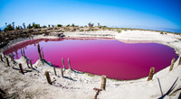 Salton Sea