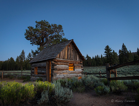 Holcomb Valley Cabin