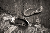 "Bombay Beach Remnants"