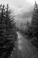 Pathways