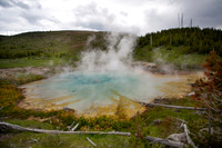 Imperial Geyser