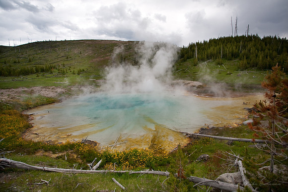 Imperial Geyser