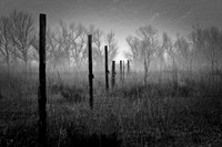 "Fence Posts"