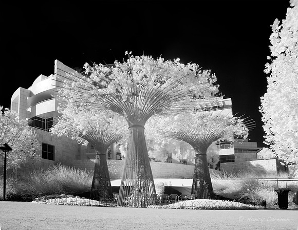 The Getty Center