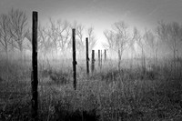 Landscapes