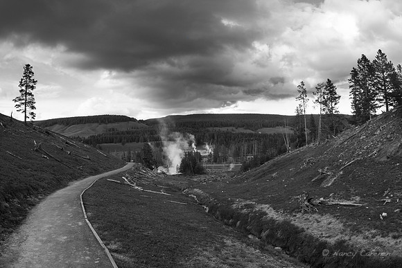 Mud Volcano Area