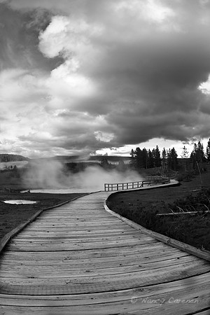 Mud Volcano Area