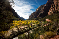 Fall color in the "Floor of the Valley"
