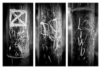 Bamboo Graffiti