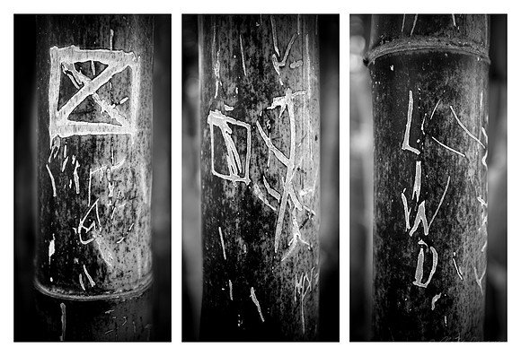 Bamboo Graffiti