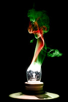 "Burning Bulb #5"