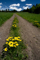 Slough creek trail