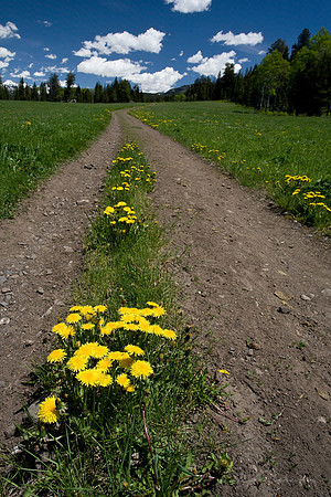 Slough creek trail