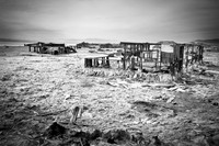 "Salton Sea"