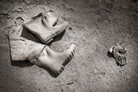 "Salton Sea Remnants"