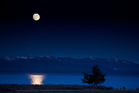 Moonrise over Yellowstone Lake