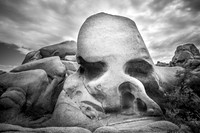 Joshua Tree Nat'l Park