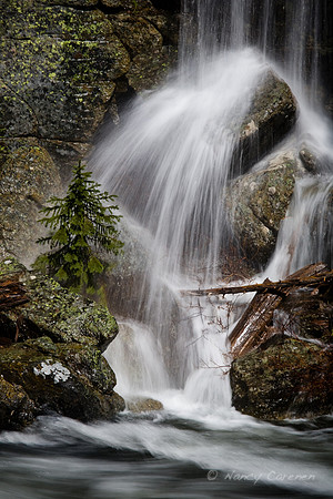 Falls Along the Lewis River