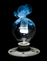 "Burning Bulb #3"