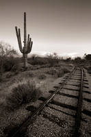"Goldfield Mine Railway"