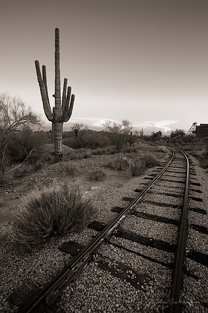 "Goldfield Mine Railway"