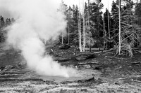 West Triplet Geyser