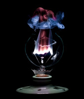 "Burning Bulb #6"